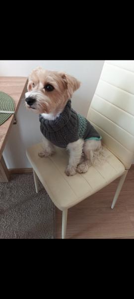 Screenshot2025-08-30-18-35-42-004comgoogleandroidappsphotos