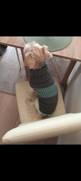 Screenshot2025-08-30-18-35-46-692comgoogleandroidappsphotos