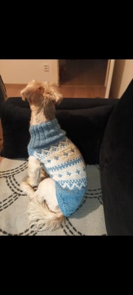 Screenshot2025-08-30-18-37-35-627comgoogleandroidappsphotos