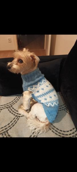 Screenshot2025-08-30-18-37-41-182comgoogleandroidappsphotos