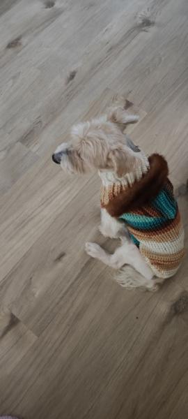 Screenshot2025-08-30-18-37-50-231comgoogleandroidappsphotos